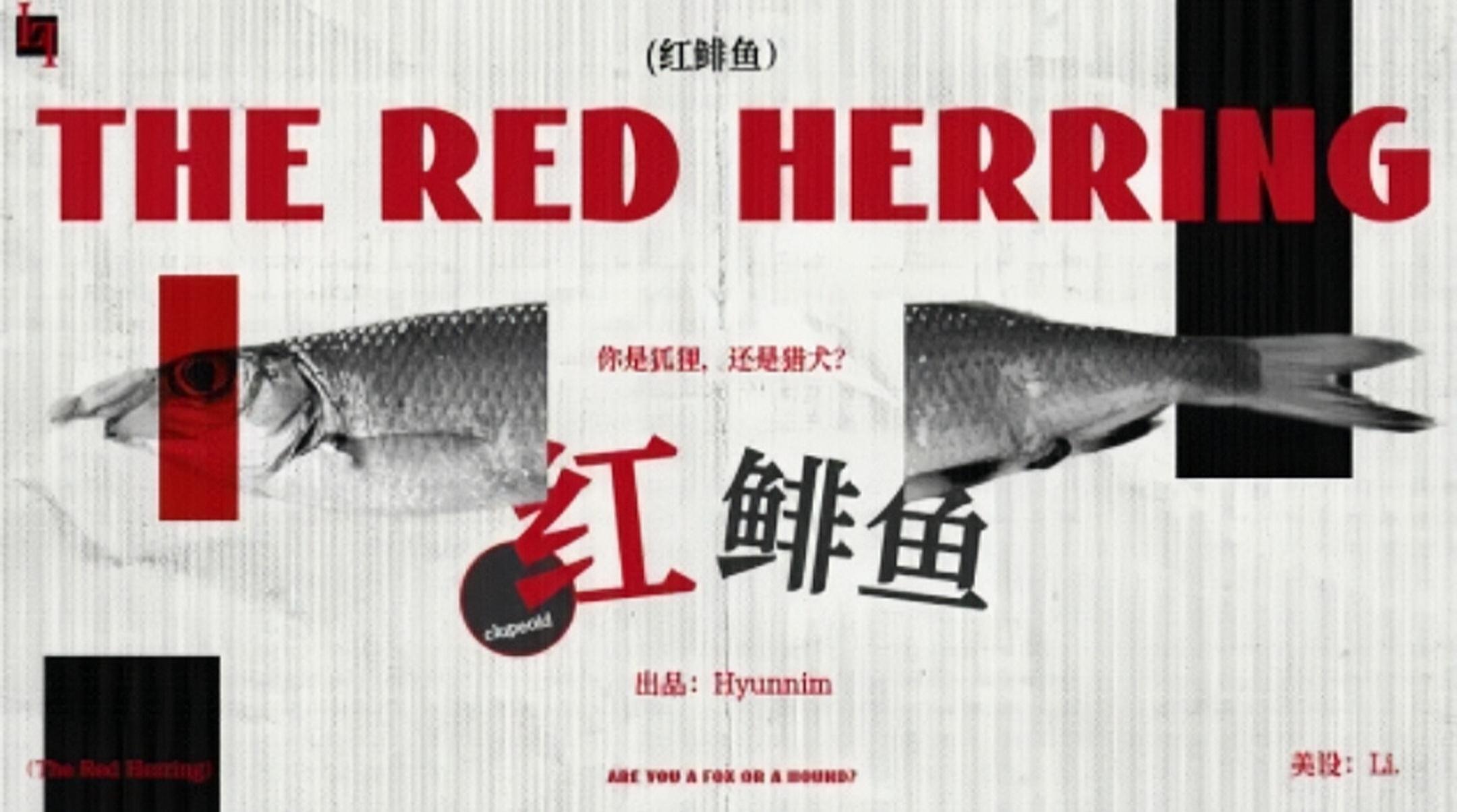 《红鲱鱼》④