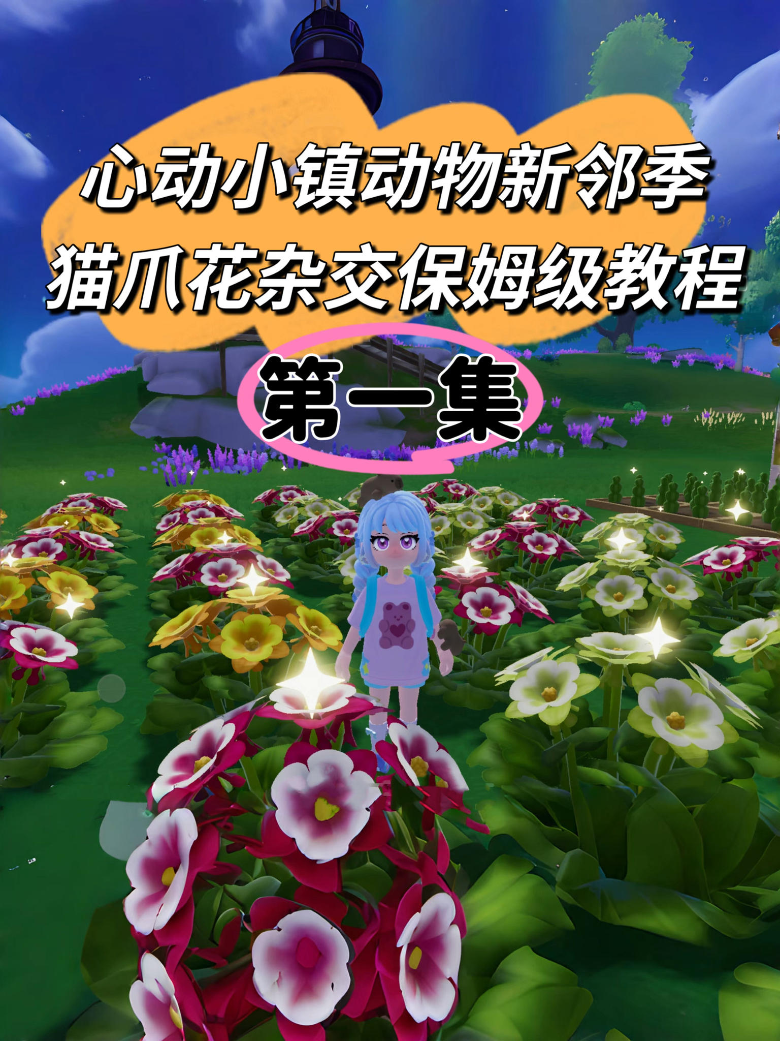 动物新邻季猫爪花杂交保姆级教程第一集来啦