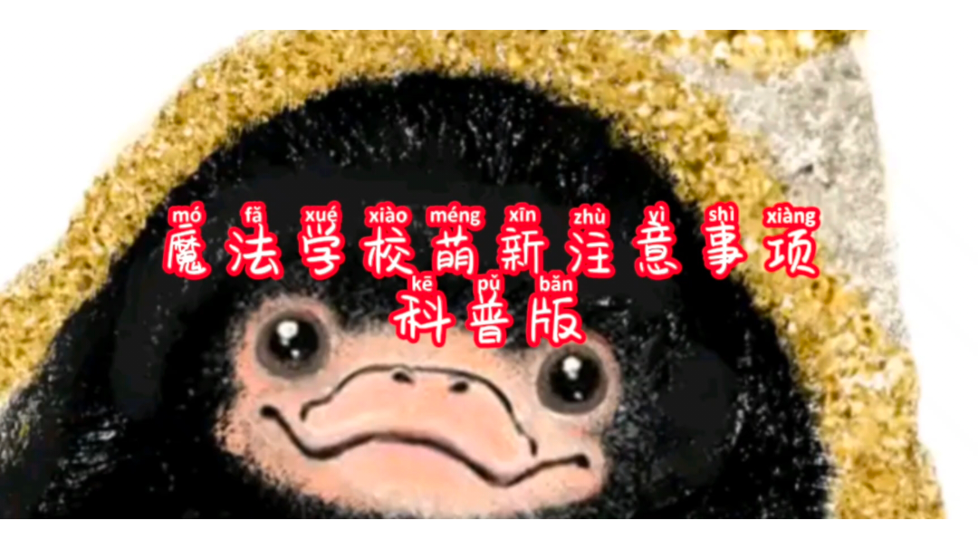 魔法学校萌新注意事项科普版