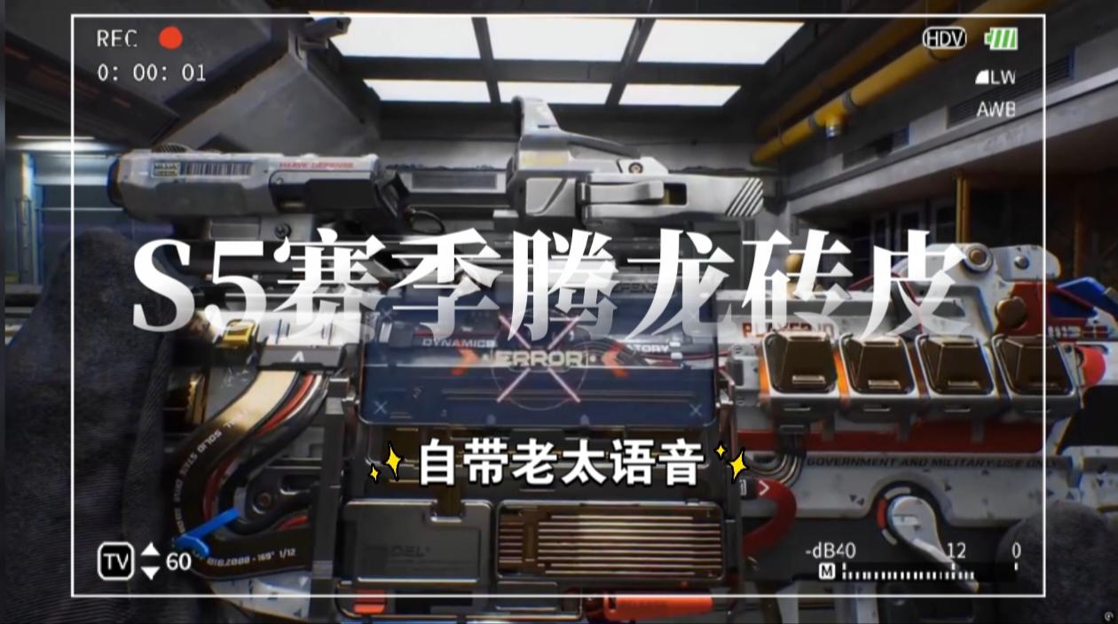 S5赛季腾龙砖皮竟然可以随时欣赏老太语音！
