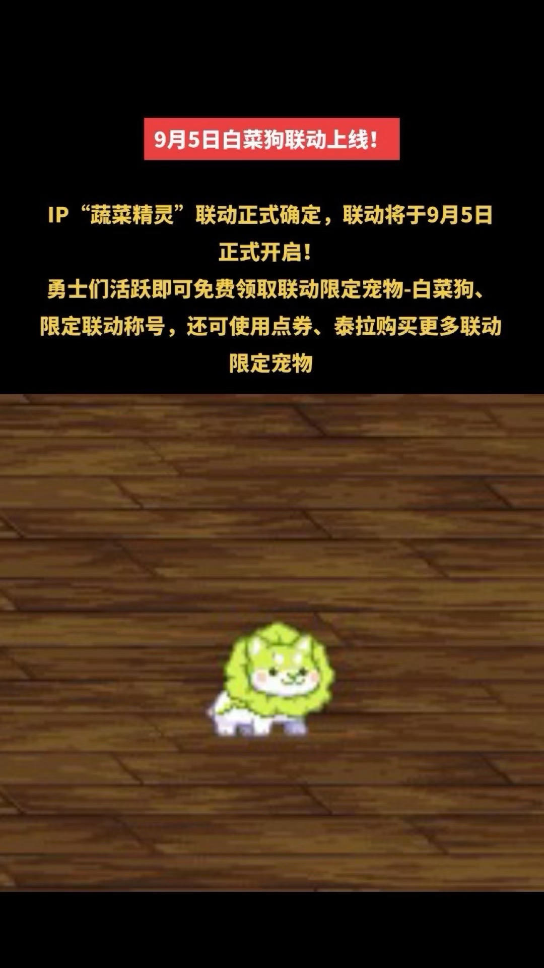 9月5日白菜狗联动正式上线！