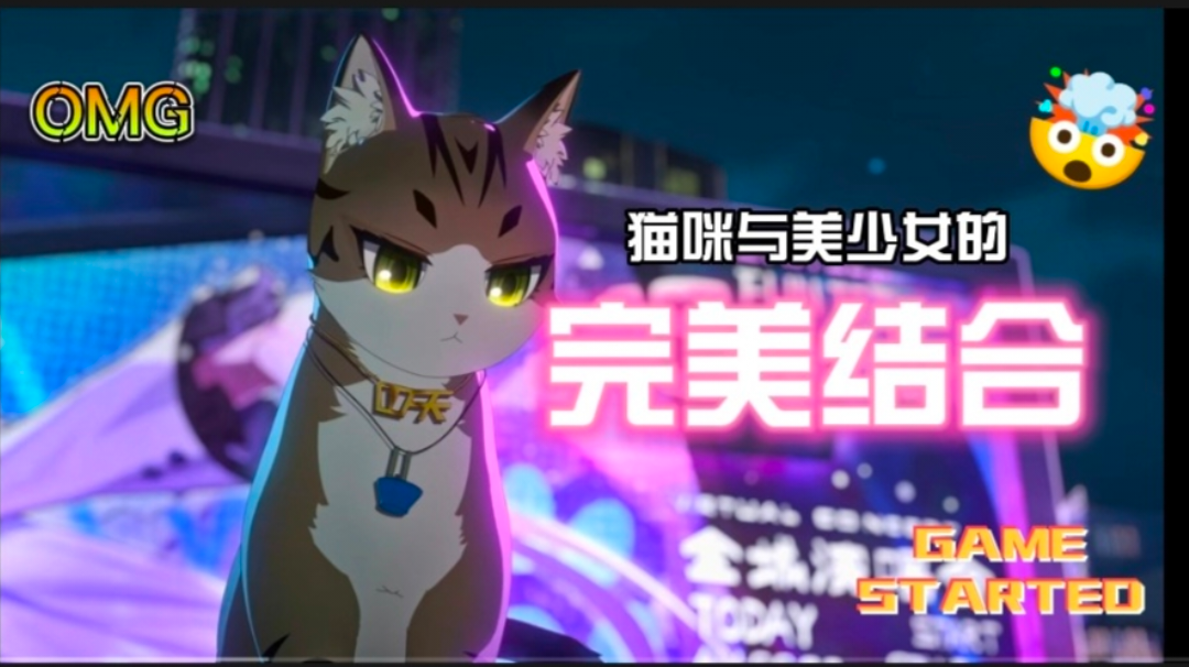 我家的猫会后空翻哦！#猫之城#