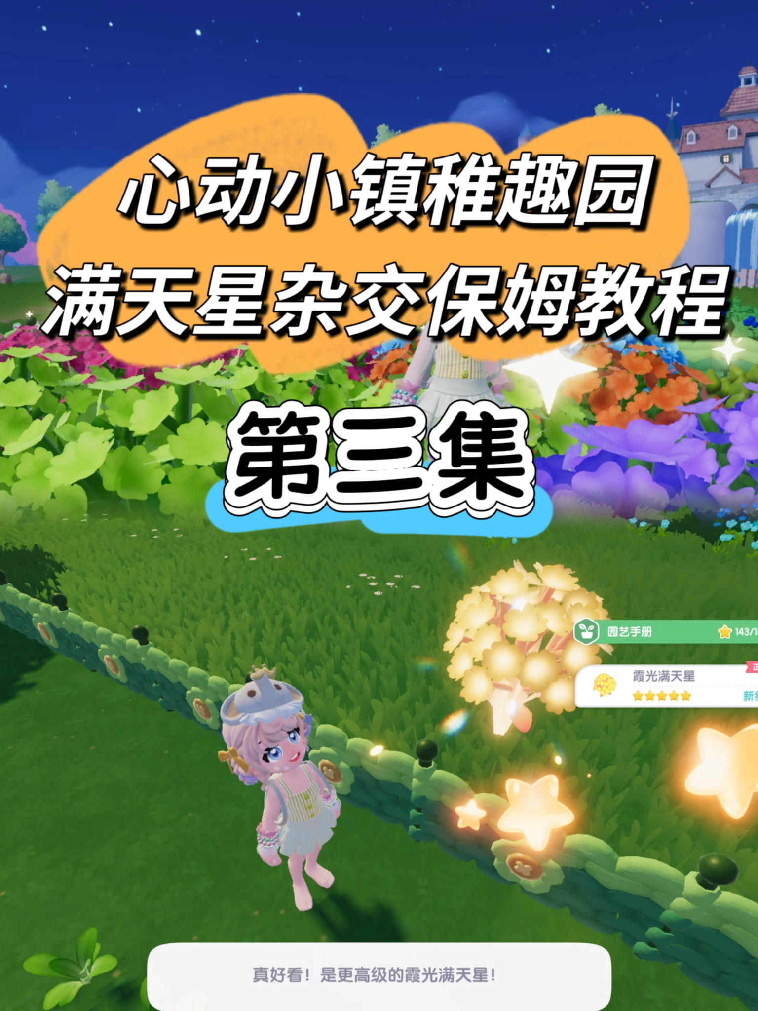 心动小镇满天星保姆级杂交攻略教程【第三集】