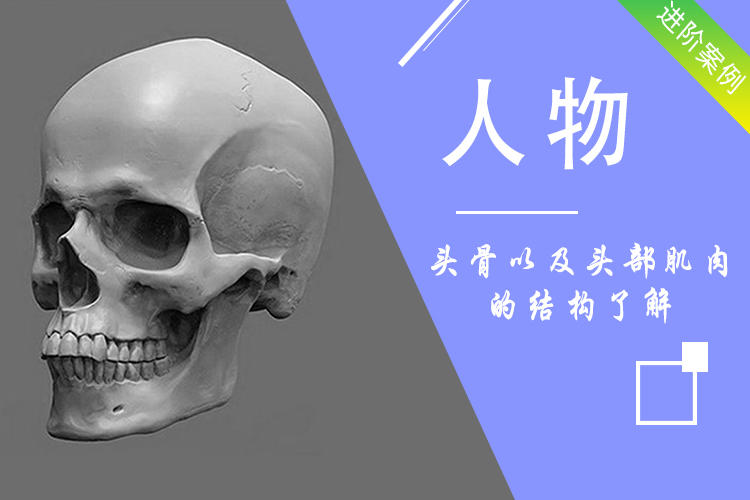 零基础怎么自学素描？素描入门教程！