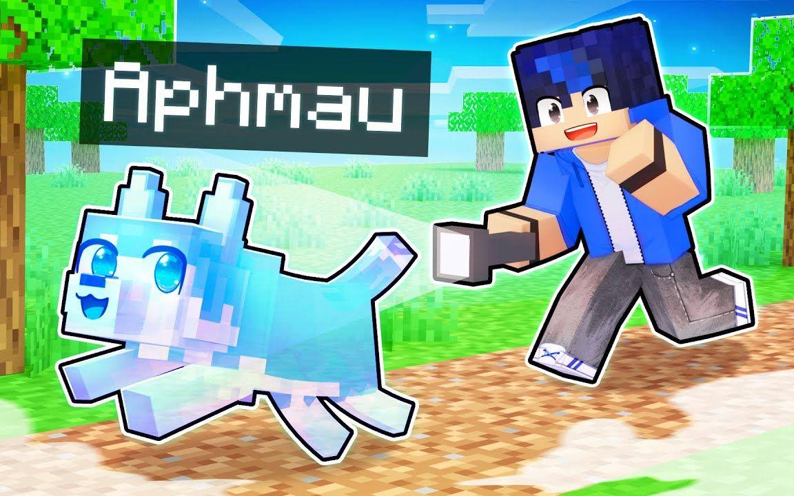 【Aphmau】我的世界|幽灵狗狗Playing as a Helpful GHOST Dog In Minecraft!