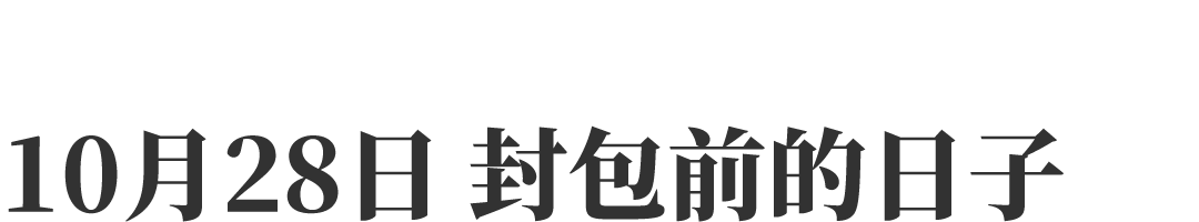 21天爆肝的“激光笔逗猫”小游戏，为我赚了13万元