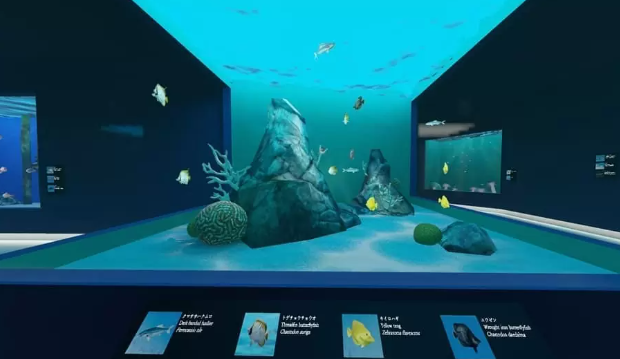 3D鱼的源码，如何打造逼真的虚拟水族馆体验？  第1张