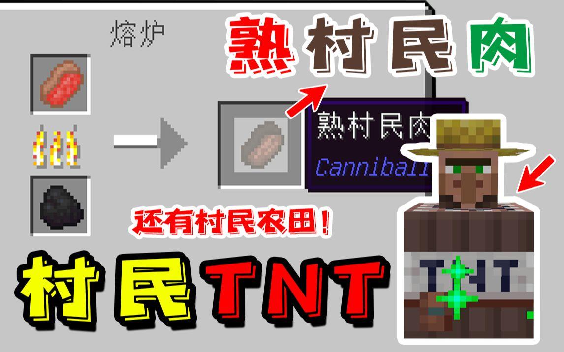 我的世界：可食用的村民！还有村民TNT和村民农田！