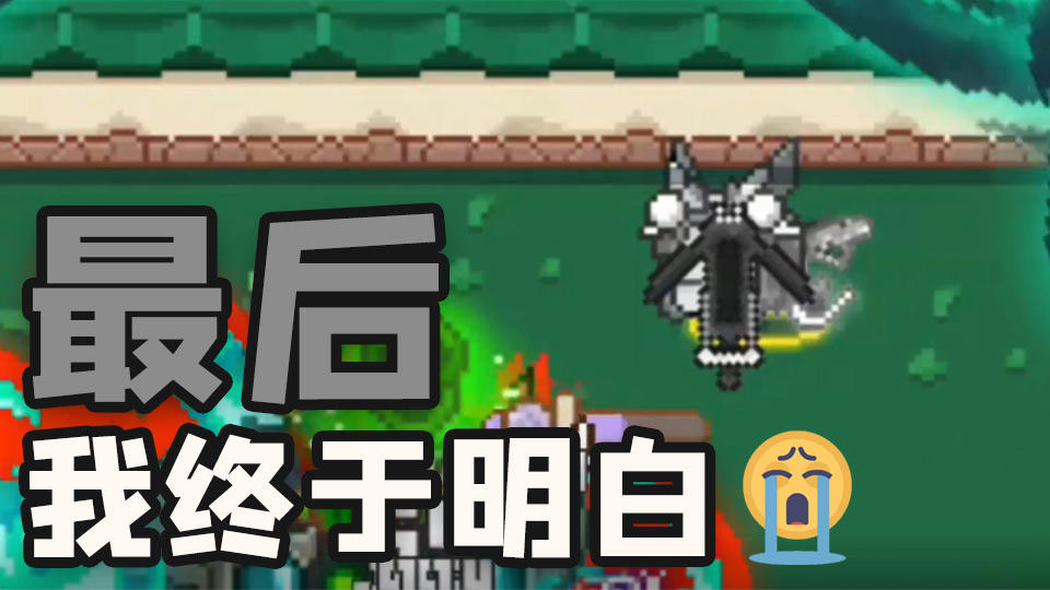 关于那天《终于明白》这件事