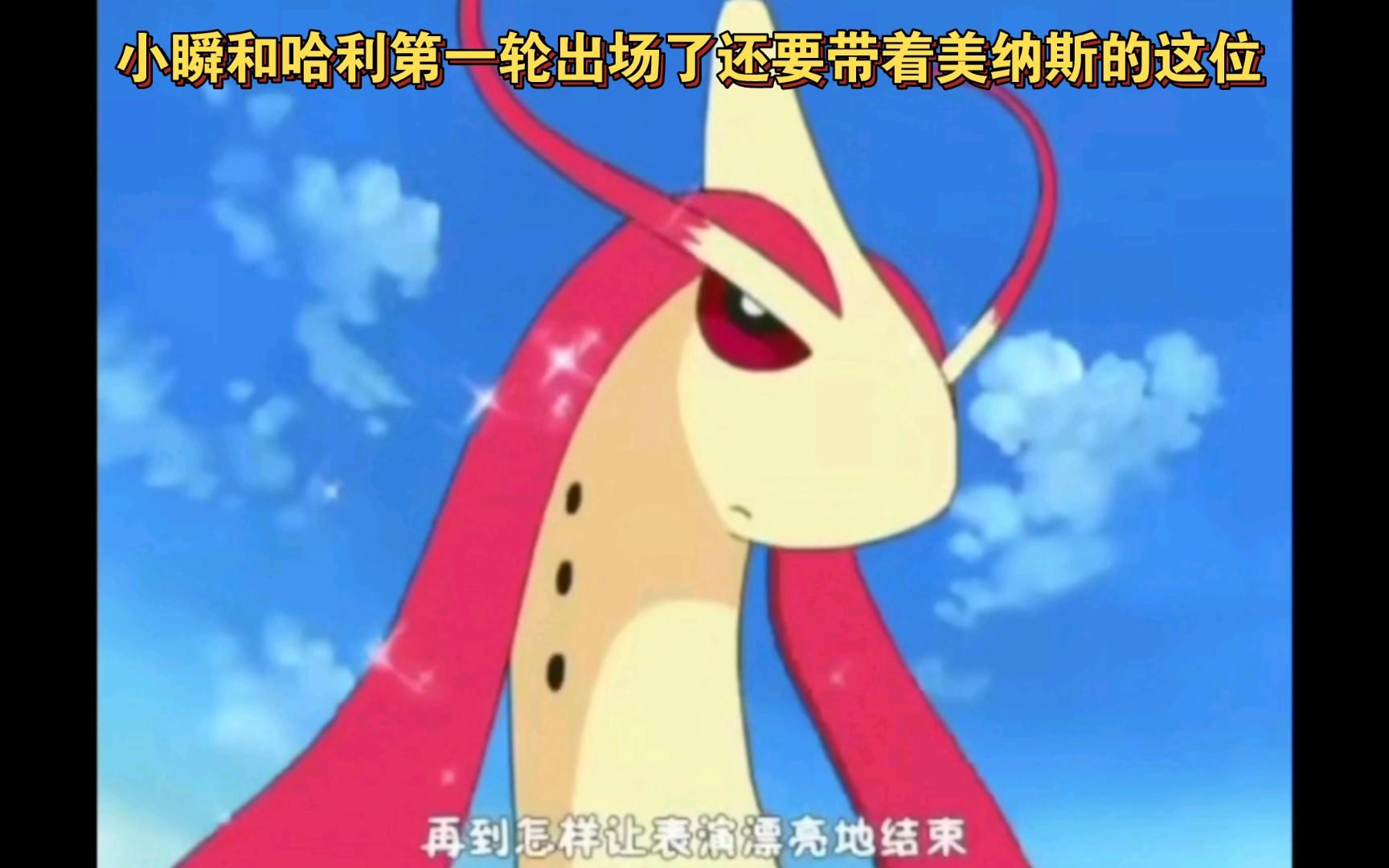 精灵宝可梦 小瞬和哈利第一轮出场了还有带着美纳斯的这位截图