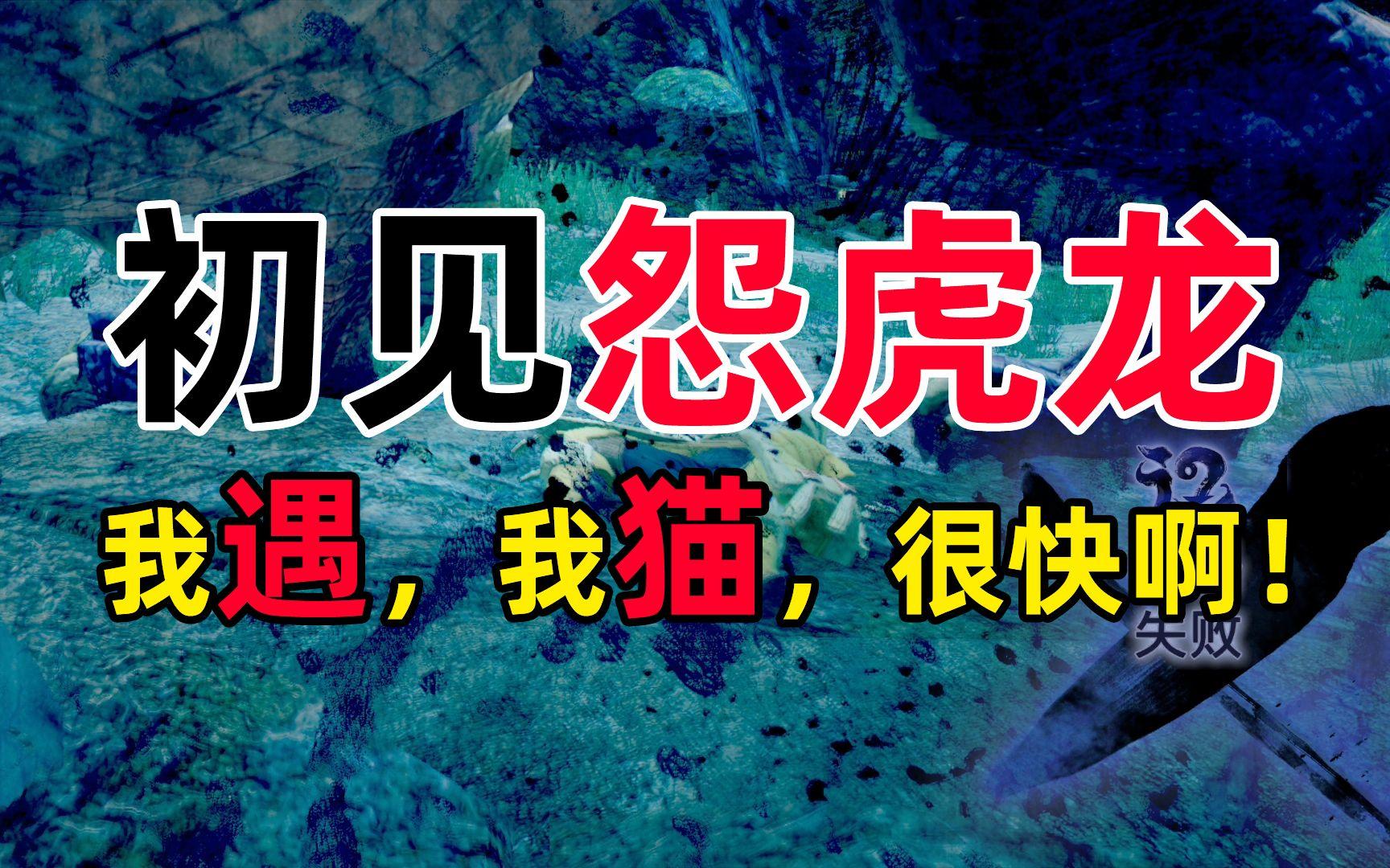 【3DM】我遇，我猫，很快啊！《怪物猎人：崛起》之初见「怨虎龙」