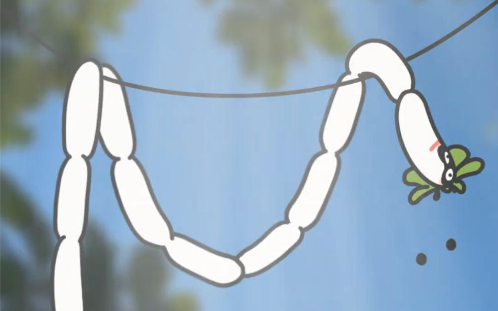 《小椒与小白日语版》第三集 吃香肠的小白