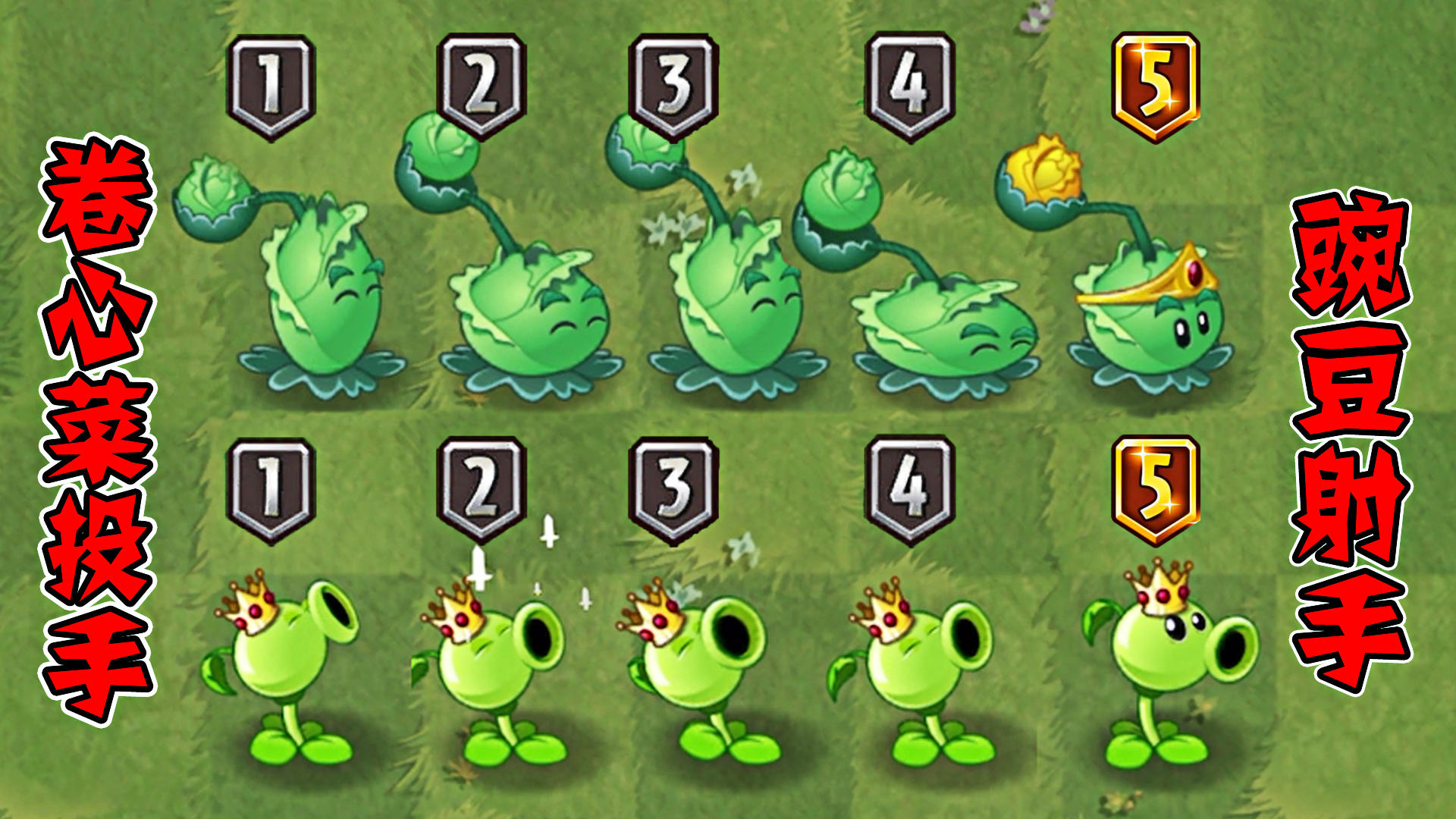 平民白卡植物，卷心菜投手vs豌豆射手，差距有多大？截图