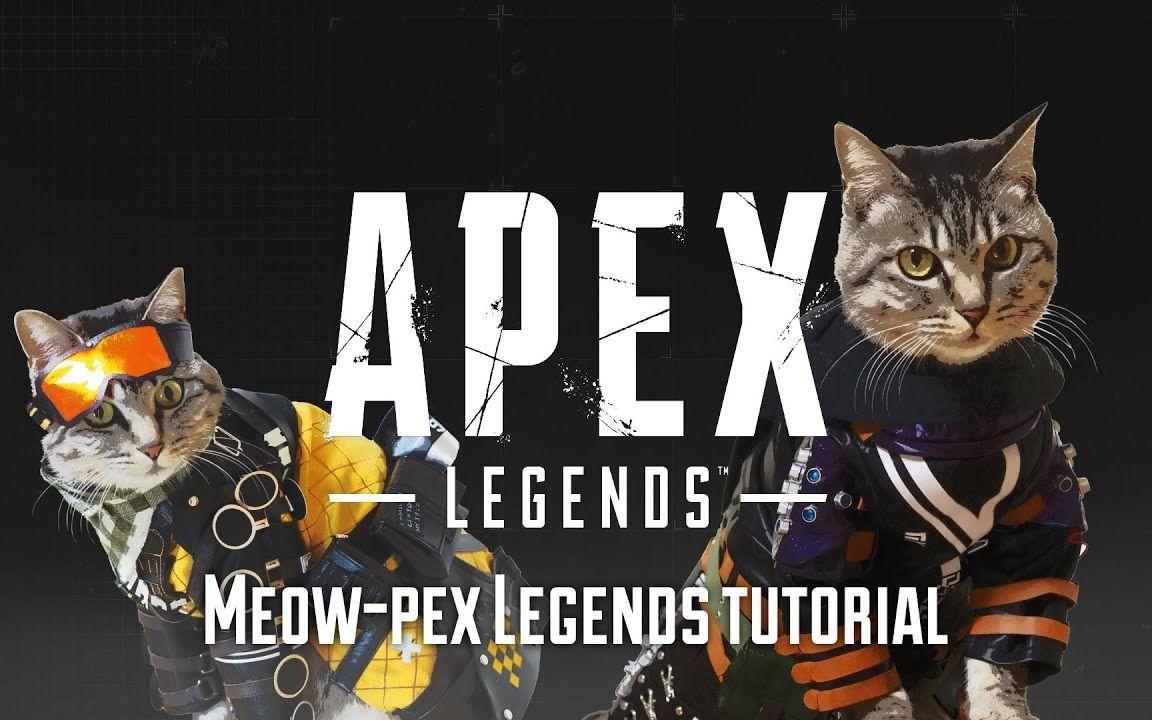 【IGN】《Apex英雄》「猫之日」宣传视频