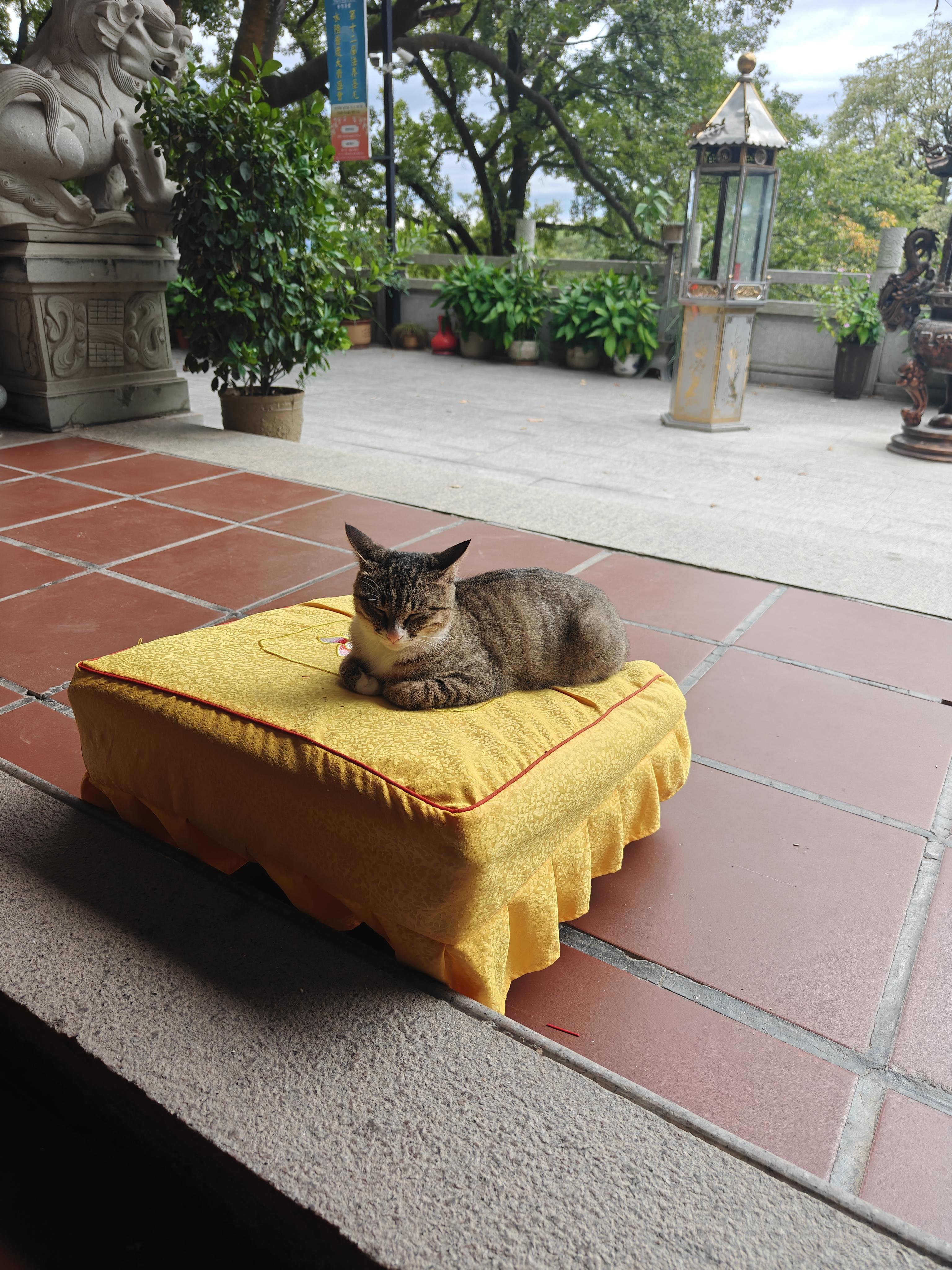 最疑惑的一集截图